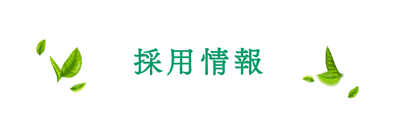 採用情報